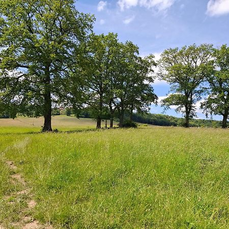 Chambres D'Hotes Sous Les Chenes Gondenans-Montby エクステリア 写真