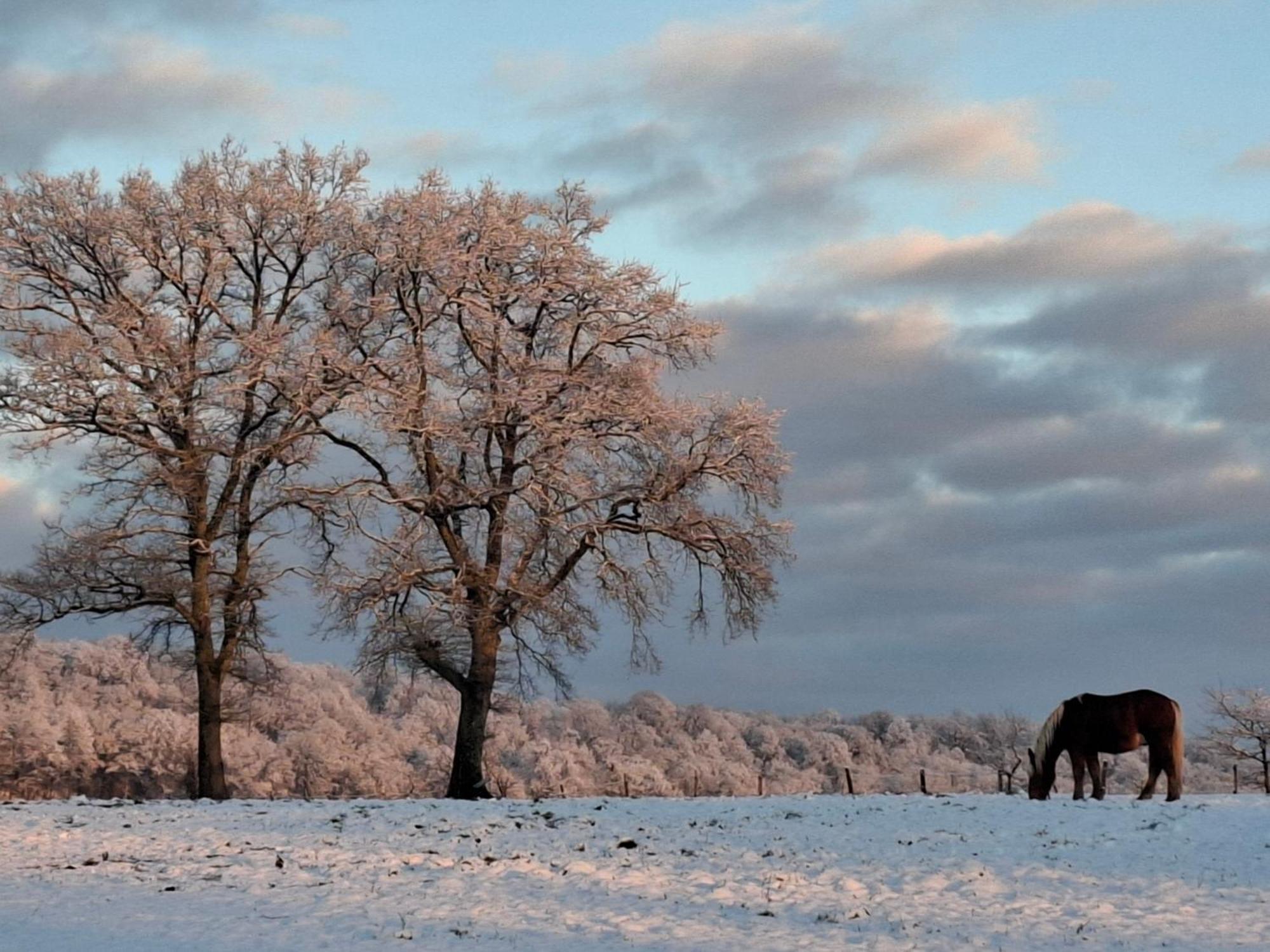 Chambres D'Hotes Sous Les Chenes Gondenans-Montby エクステリア 写真